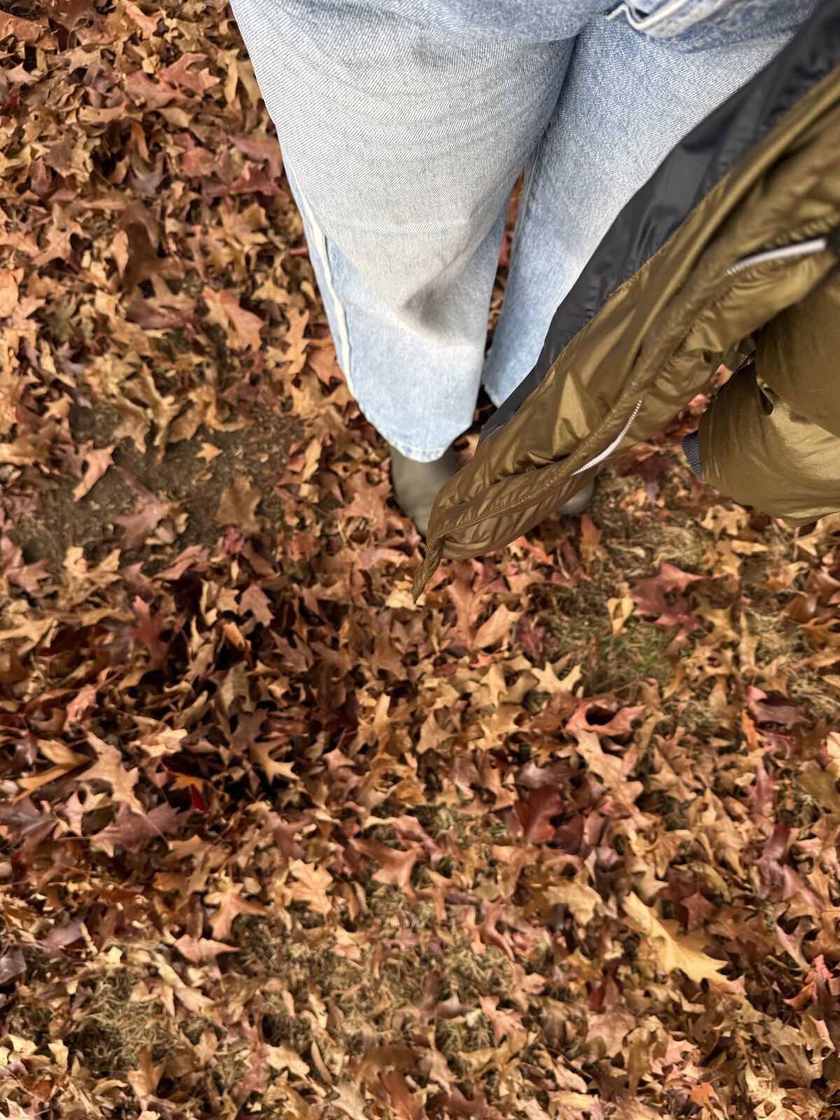 Looking down at light blue jeans and an olive jacket over a carpet of fallen autumn leaves